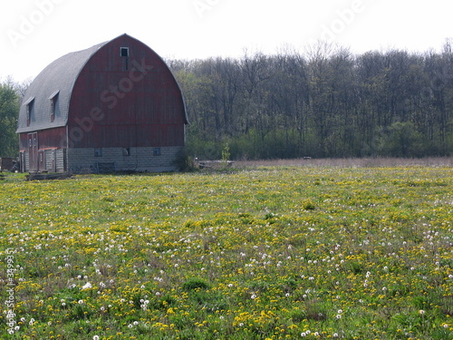 Photo: Barn and Field III Barn and Field III