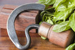 mezzaluna with fresh basil
