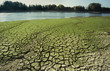 drought-6a