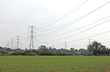 pylons