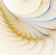 Curves on White