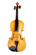 violin