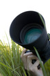 taking pictures in grass