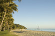 tropical island