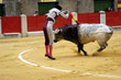 banderillero-78