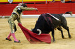 torero-01
