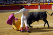 torero-55