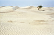 sahara, tunesien sahara, tunesien