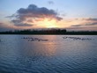attelage au crépuscule attelage au crépuscule
