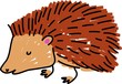 hedge hog