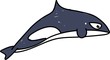 killer whale