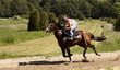 Photo en ligne au meilleur prix the jockey