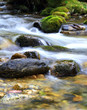 Beautiful brook