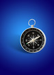 magnetic compass