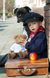 Dog, teddy and boy