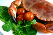 Freshly steamed crab served on fresh salad and tomatoes