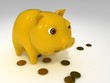 bank pig