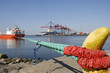container port scenery with ships