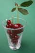 Obstler