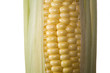Corn 3