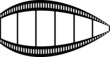 film streifen wand perspektive