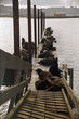 Dock Of The Sealions