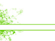 green abstract flora background