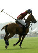 Photo : Open de France