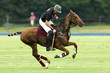 Photographie : Open de France