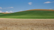 braungrünblau