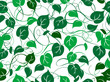 Seamless foliage pattern