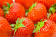 Structure from a strawberry.