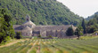 Abbaye_de_Senanque