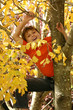 A child climbs among the branches of a deciduous tree in autumn.