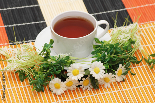 Cup of tea with herbs and daisies