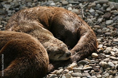 Foto: Päuschen Päuschen