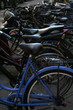 Bikes in copenhagen Bikes in copenhagen