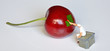 chantier cerise 2