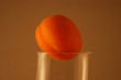 abricot de verre