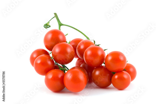 Tomatoes