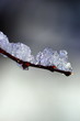 Ice Ice