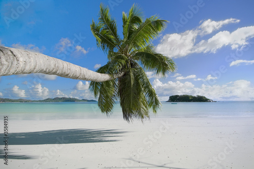 Pristine beach of Praslin tropical resort island