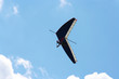 Single paraglider against azure sky