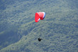 Single glider against wooded valley
