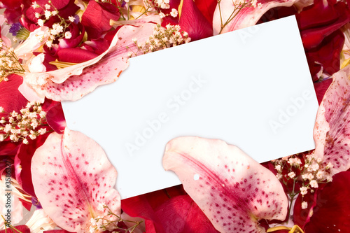 a note card in a pile of petals
