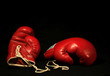 Photo en ligne au meilleur prix two red boxing gloves