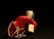 Photo en ligne au meilleur prix red boxing glove holding a shining cup 
