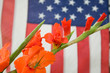 Grasshopper, Flower and American Flag Grasshopper, Flower and American Flag