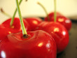 Ripe Cherries Ripe Cherries