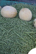 fruits